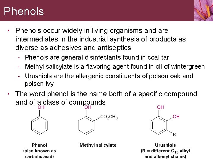 Phenols • Phenols occur widely in living organisms and are intermediates in the industrial