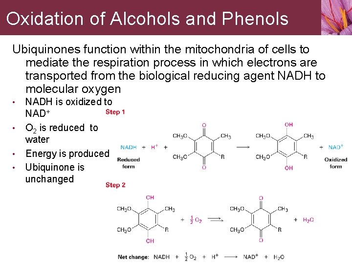 Oxidation of Alcohols and Phenols Ubiquinones function within the mitochondria of cells to mediate