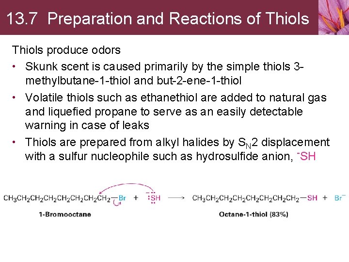 13. 7 Preparation and Reactions of Thiols produce odors • Skunk scent is caused