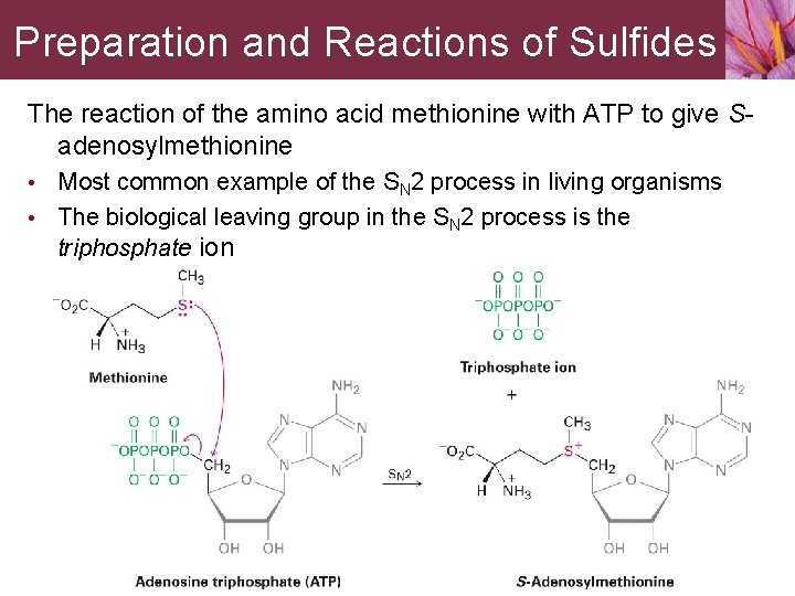 Preparation and Reactions of Sulfides The reaction of the amino acid methionine with ATP