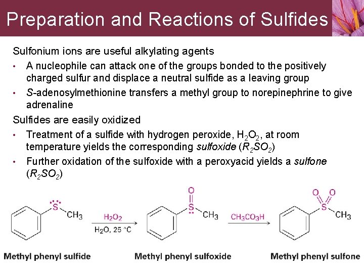 Preparation and Reactions of Sulfides Sulfonium ions are useful alkylating agents • A nucleophile