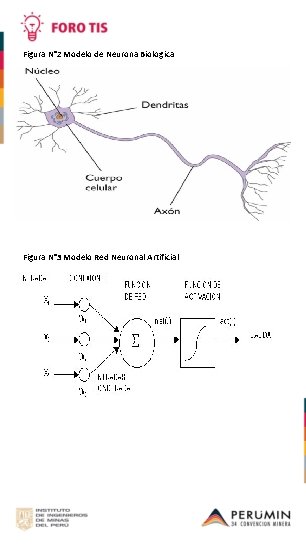 Figura N° 2 Modelo de Neurona Biologica Figura N° 3 Modelo Red Neuronal Artificial