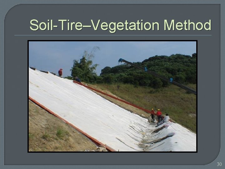 Soil-Tire–Vegetation Method 30 