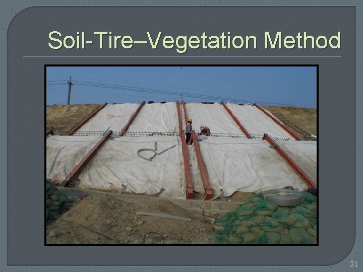 Soil-Tire–Vegetation Method 31 