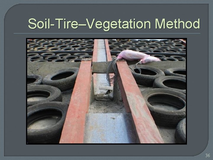 Soil-Tire–Vegetation Method 36 