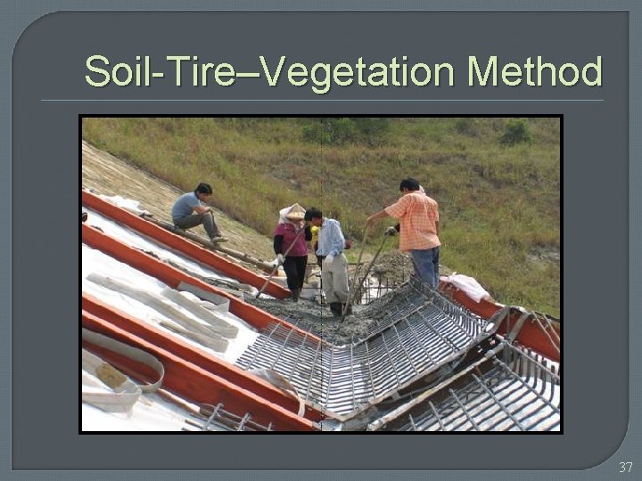Soil-Tire–Vegetation Method 37 