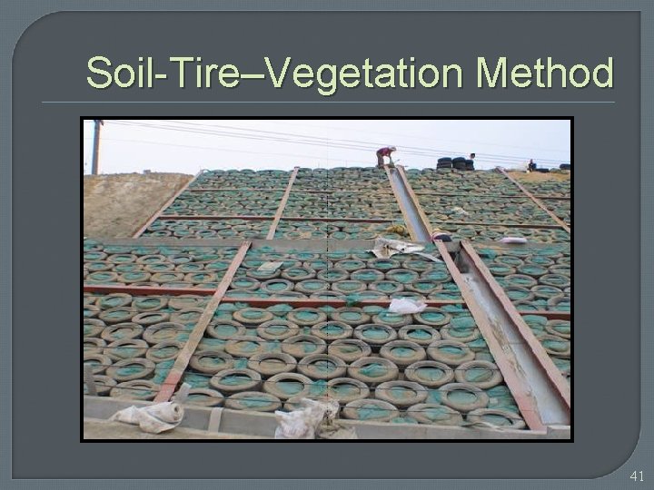 Soil-Tire–Vegetation Method 41 