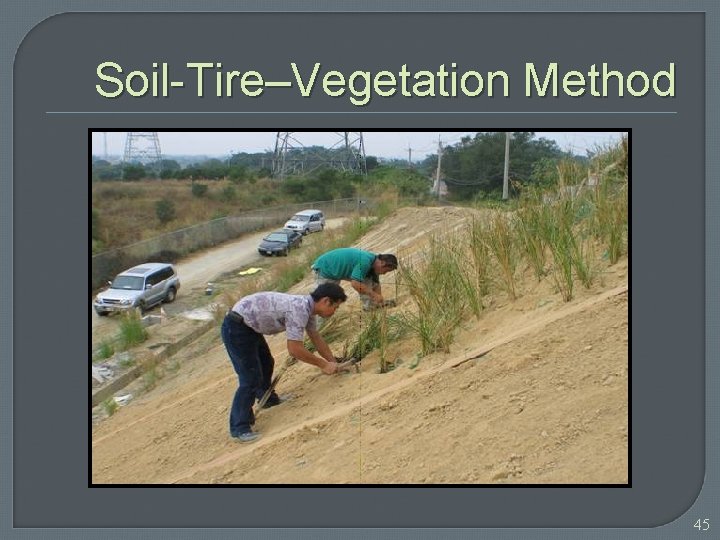 Soil-Tire–Vegetation Method 45 