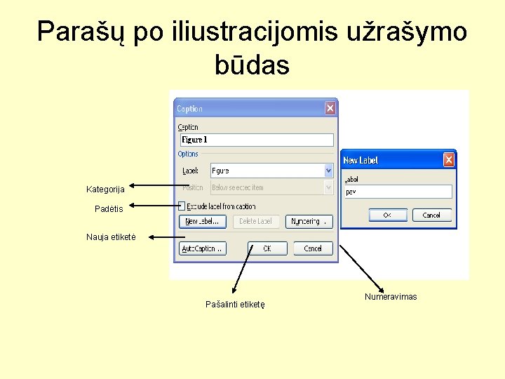 Parašų po iliustracijomis užrašymo būdas Kategorija Padėtis Nauja etiketė Pašalinti etiketę Numeravimas 