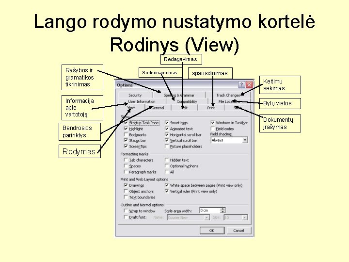 Lango rodymo nustatymo kortelė Rodinys (View) Redagavimas Rašybos ir gramatikos tikrinimas Informacija apie vartotoją