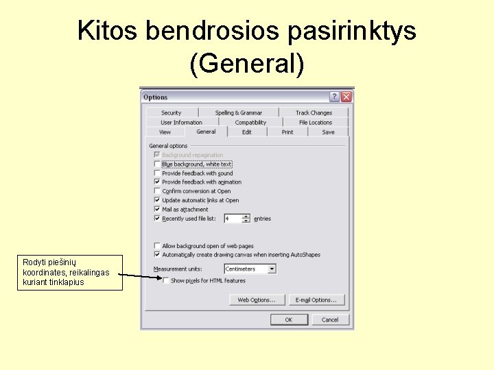 Kitos bendrosios pasirinktys (General) Rodyti piešinių koordinates, reikalingas kuriant tinklapius 