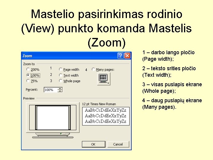 Mastelio pasirinkimas rodinio (View) punkto komanda Mastelis (Zoom) 1 – darbo lango pločio (Page