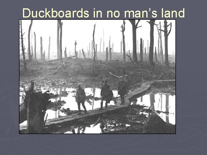 Duckboards in no man’s land 