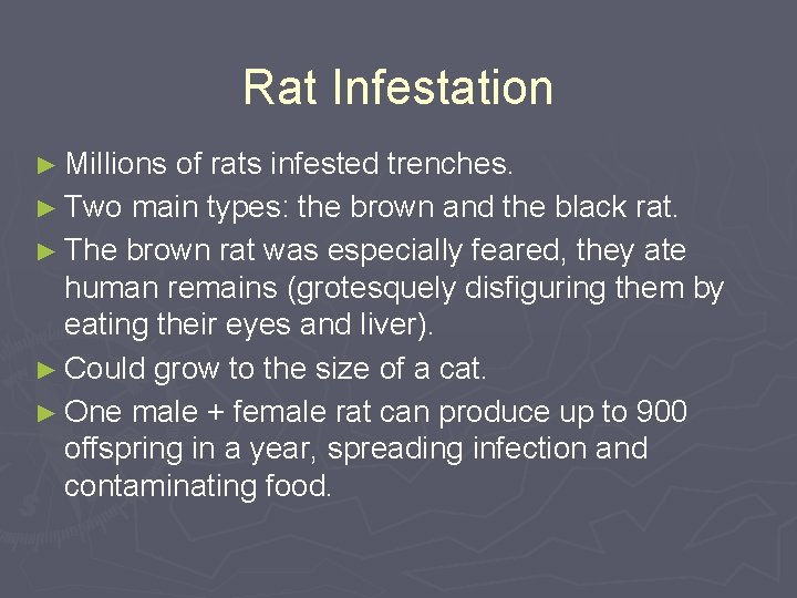 Rat Infestation ► Millions of rats infested trenches. ► Two main types: the brown