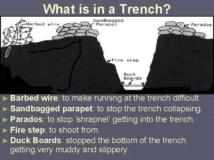 What is in a Trench? ► Barbed wire: to make running at the trench