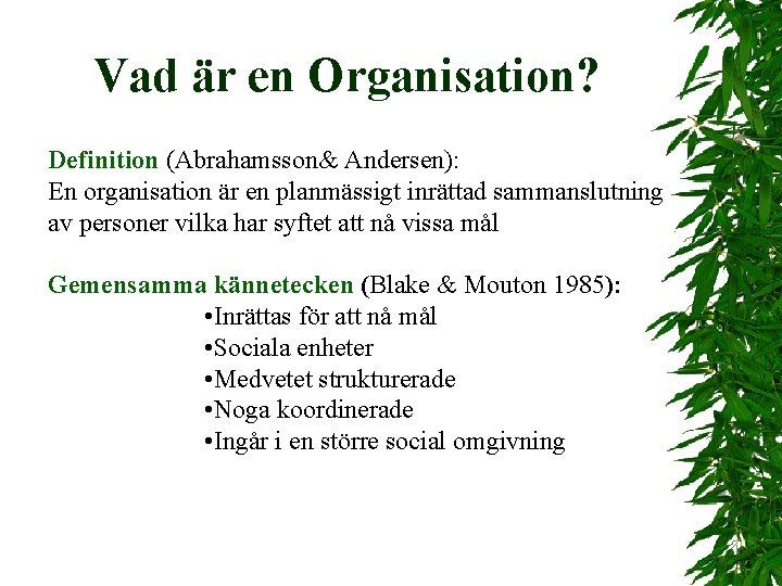 Vad är en Organisation? Definition (Abrahamsson& Andersen): En organisation är en planmässigt inrättad sammanslutning