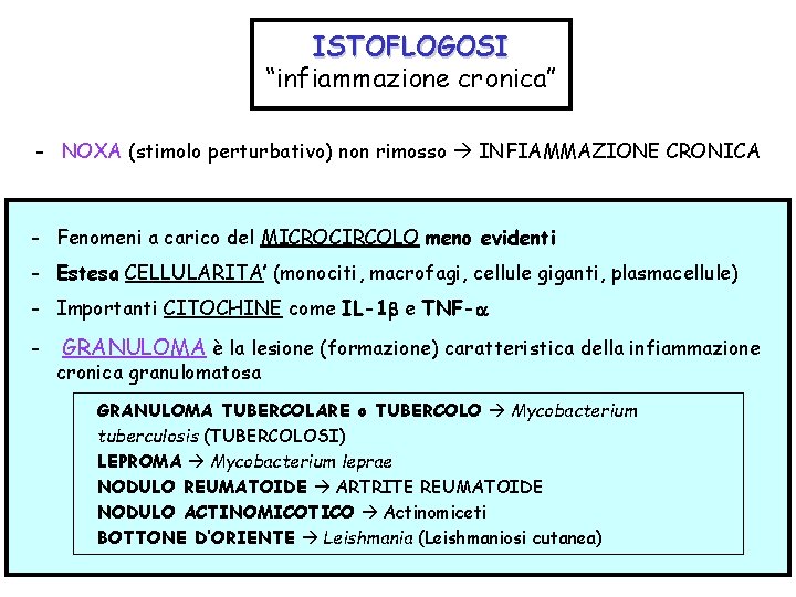 ISTOFLOGOSI “infiammazione cronica” - NOXA (stimolo perturbativo) non rimosso INFIAMMAZIONE CRONICA - Fenomeni a