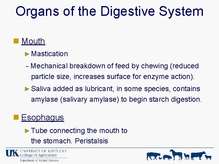 Organs of the Digestive System n Mouth ► Mastication - Mechanical breakdown of feed