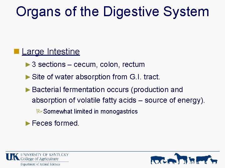 Organs of the Digestive System n Large Intestine ► 3 sections – cecum, colon,