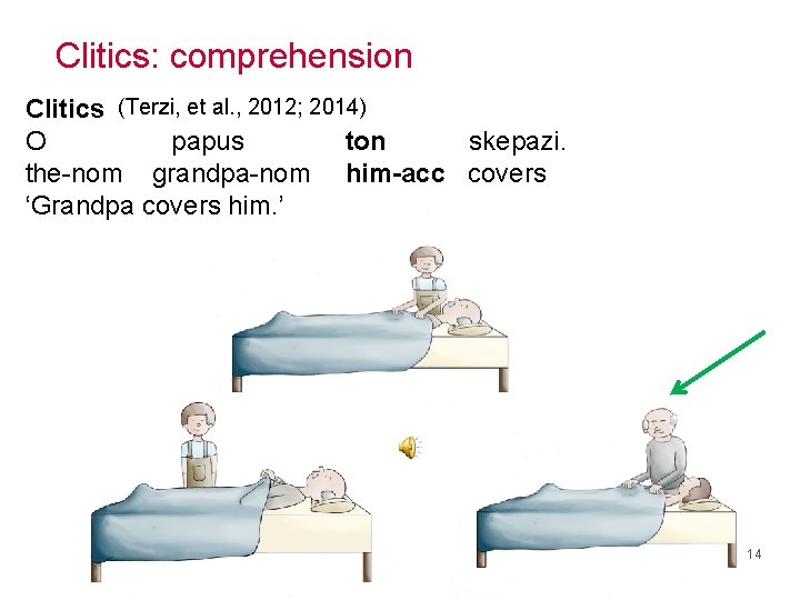 Clitics: comprehension Clitics (Terzi, et al. , 2012; 2014) O papus ton skepazi. the-nom