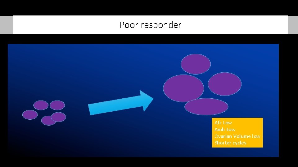 Poor responder Afc Low Amh Low Ovarian Volume low Shorter cycles 