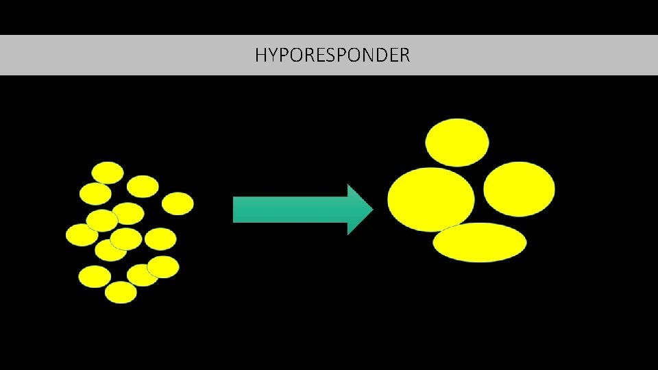 HYPORESPONDER 