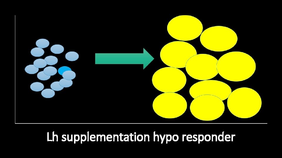 Lh supplementation hypo responder 