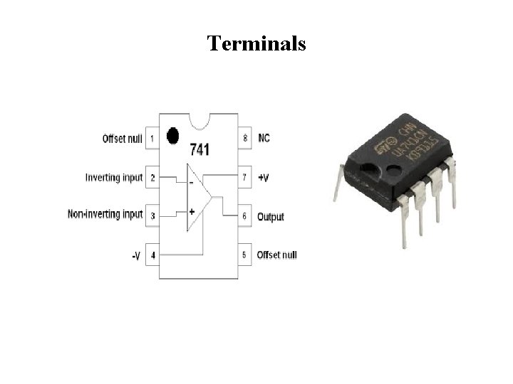 Terminals 