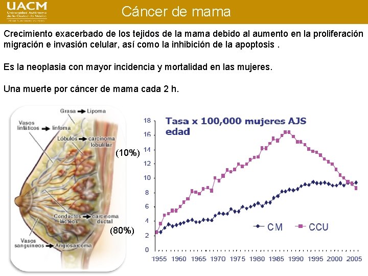 Cáncer de mama Crecimiento exacerbado de los tejidos de la mama debido al aumento