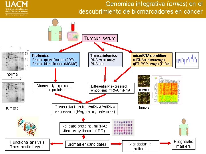 Genómica integrativa (omics) en el descubrimiento de biomarcadores en cáncer Tumour, serum Protemics Protein