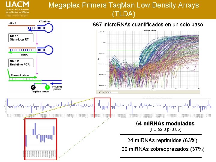 Megaplex Primers Taq. Man Low Density Arrays (TLDA) 667 micro. RNAs cuantificados en un