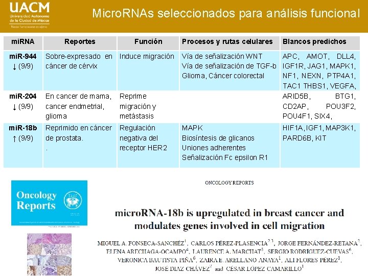 Micro. RNAs seleccionados para análisis funcional mi. RNA Reportes Función mi. R-944 ↓ (9/9)