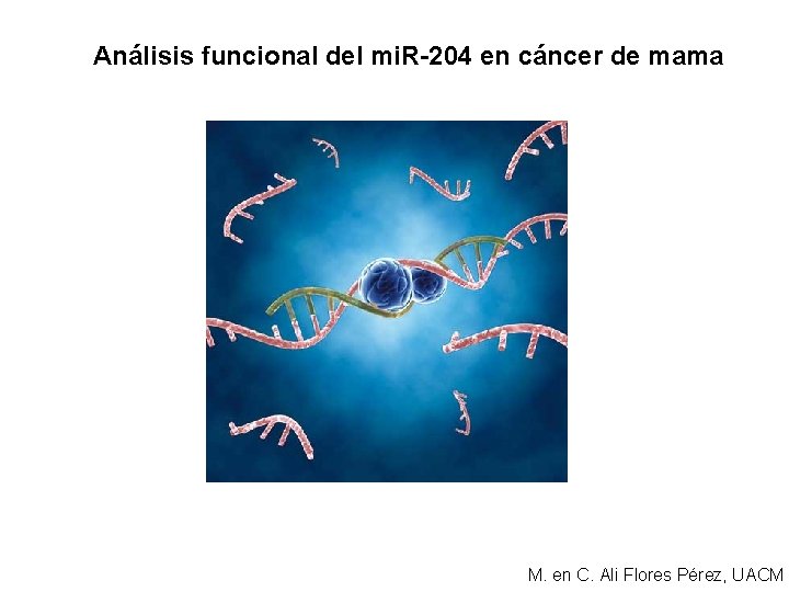 Análisis funcional del mi. R-204 en cáncer de mama M. en C. Ali Flores