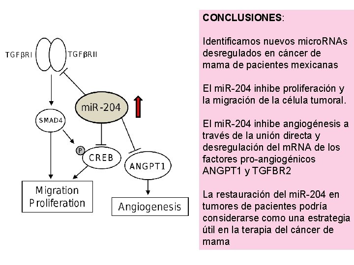 CONCLUSIONES: Identificamos nuevos micro. RNAs desregulados en cáncer de mama de pacientes mexicanas El