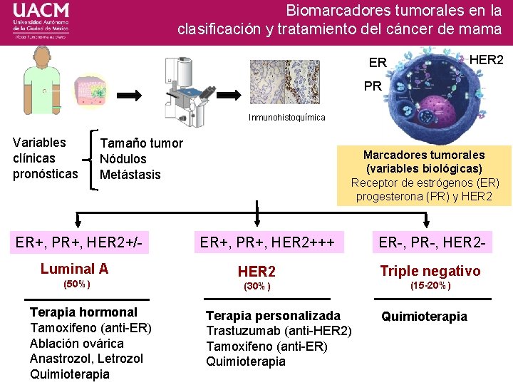 Biomarcadores tumorales en la clasificación y tratamiento del cáncer de mama HER 2 ER