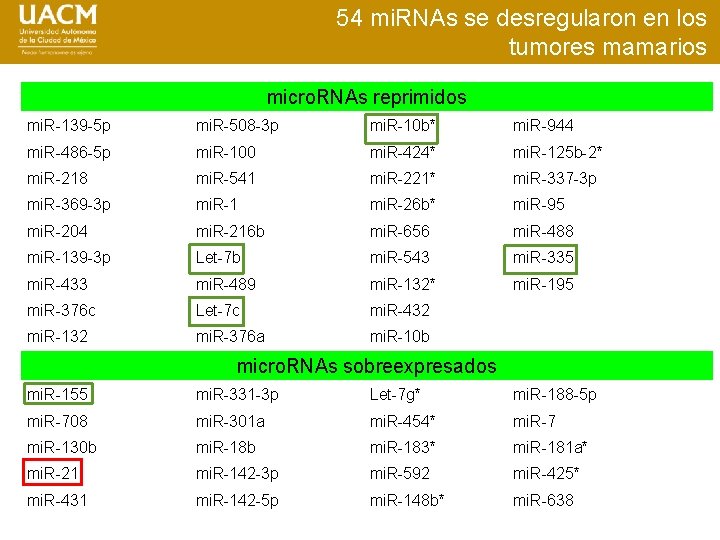 La expresión de 54 mi. RNAs seen moduló 54 mi. RNAs se desregularon los