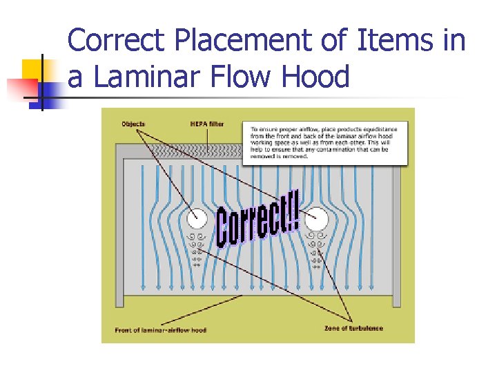 Correct Placement of Items in a Laminar Flow Hood 