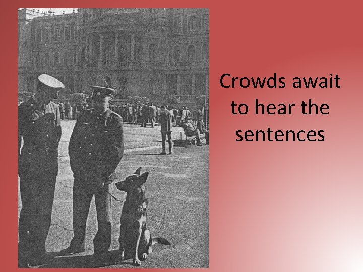 Crowds await to hear the sentences 