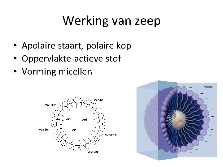 Werking van zeep • Apolaire staart, polaire kop • Oppervlakte-actieve stof • Vorming micellen