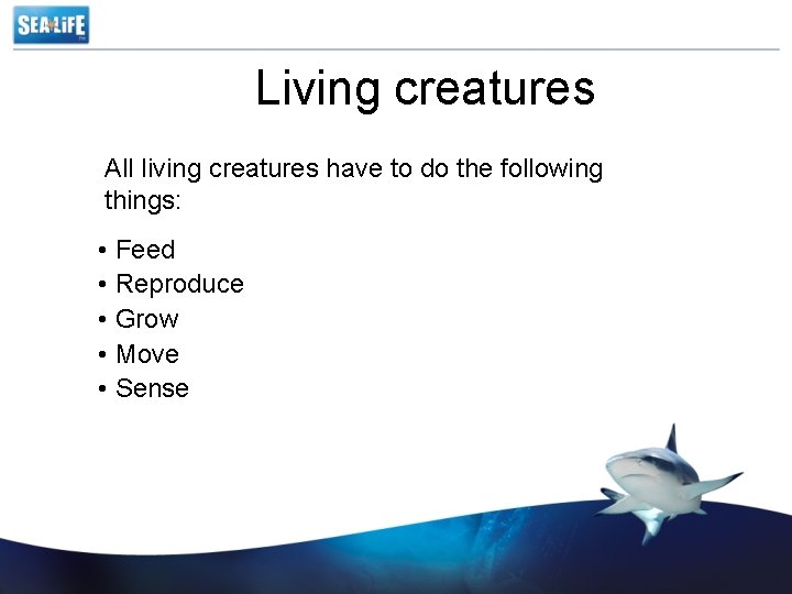 Living creatures All living creatures have to do the following things: • Feed •