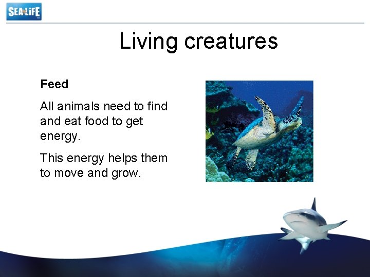 Living creatures Feed All animals need to find and eat food to get energy.