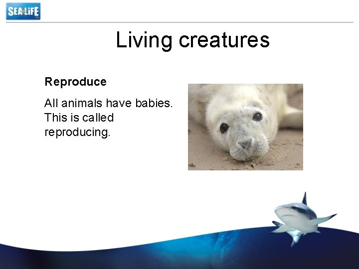 Living creatures Reproduce All animals have babies. This is called reproducing. 