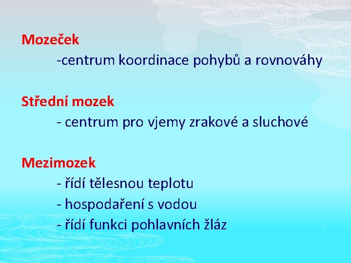Mozeček -centrum koordinace pohybů a rovnováhy Střední mozek - centrum pro vjemy zrakové a