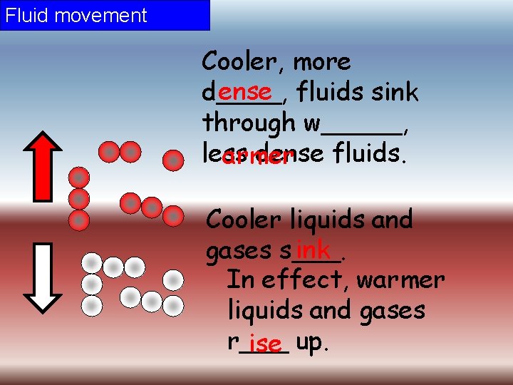 Fluid movement Cooler, more ense fluids sink d____, through w_____, less dense fluids. armer