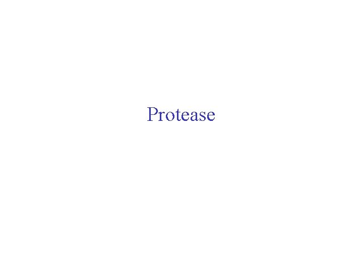 Protease Protease