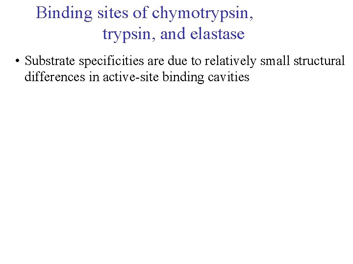 Binding sites of chymotrypsin, and elastase • Substrate specificities are due to relatively small Binding sites of chymotrypsin, and elastase • Substrate specificities are due to relatively small