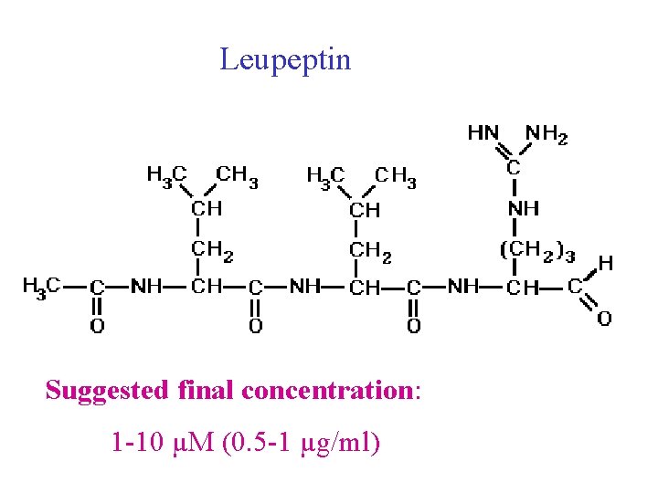 Leupeptin Suggested final concentration: 1 -10 µM (0. 5 -1 µg/ml) Leupeptin Suggested final concentration: 1 -10 µM (0. 5 -1 µg/ml)
