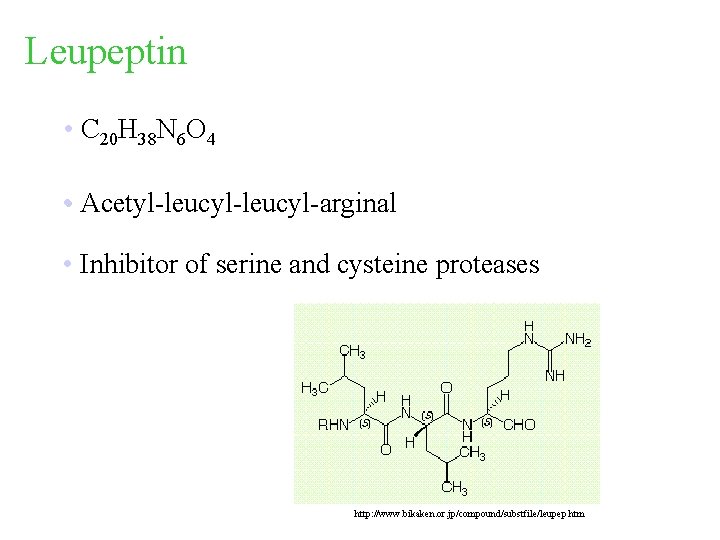 Leupeptin • C 20 H 38 N 6 O 4 • Acetyl-leucyl-arginal • Inhibitor Leupeptin • C 20 H 38 N 6 O 4 • Acetyl-leucyl-arginal • Inhibitor