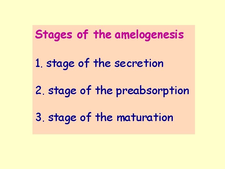 Stages of the amelogenesis 1. stage of the secretion 2. stage of the preabsorption