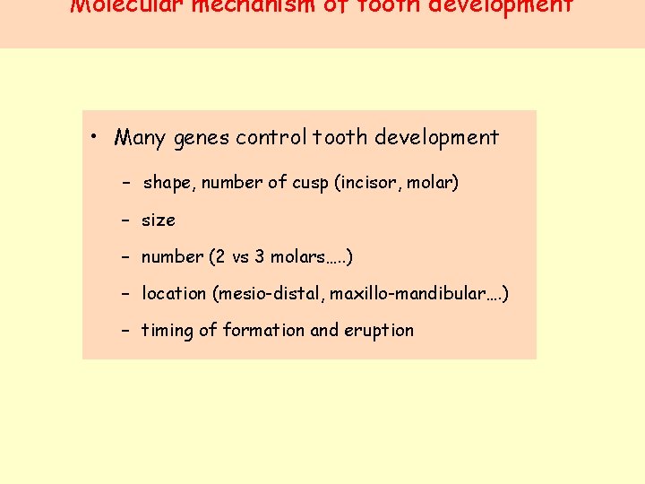 Molecular mechanism of tooth development • Many genes control tooth development - shape, number